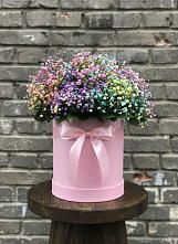 Цветочная композиция из Гипсофила и Розы в шляпной коробке #REPLACE_PRED# Молодежном Иркутская область