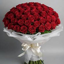 Букет 101 Красная роза Блэк Мэджик в Молодежном Иркутская область