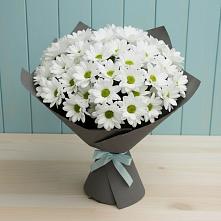 Букет цветов из:  Хризантемы #REPLACE_PRED# Молодежном Иркутская область