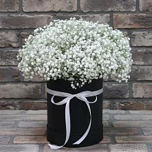 Цветочная композиция из Гипсофила в шляпной коробке #REPLACE_PRED# Молодежном Иркутская область