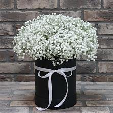 Цветочная композиция из Гипсофила в шляпной коробке в Молодежном Иркутская область