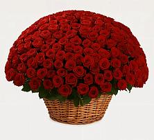 Премиум букет из: Розы в Молодежном Иркутская область