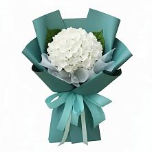 Букет цветов из:  Гортензия в Молодежном Иркутская область